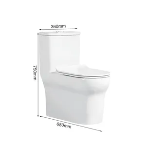 Итальянский стиль Рекламные oem Современный Белый сухой сливной сифон туалет для комнаты отдыха