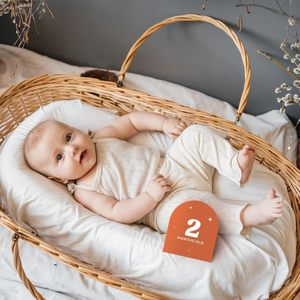 Arche de cadeau de douche de bébé imprimée double face Baby Milestone Age Photo Prop Beautiful Baby Monthly Milestone Card - Product Image 5