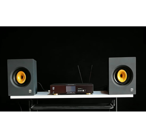 Bookshelf Style Active 8-inch 8 Ohm <b>External</b> High-frequency <b>Speaker</b> USB/XLR Professional Monitoring OEM/ODM CA08M.1 CA08M.1 - Product Image 4