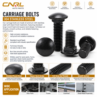 RuiLi Boulon à tête bombée en acier inoxydable 304, col carré, oxyde noir, M4 M5 M6 M8 M10 M12, vente en gros usine