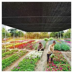 Chất lượng cao màu đen/màu xanh lá cây 100% HDPE chống UV nhà kính <span class=keywords><strong>Shade</strong></span> <span class=keywords><strong>Net</strong></span> cho nông nghiệp - Product Image 5
