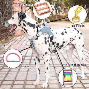 Luxury Gold <b>Pet</b> <b>Collar</b> Hardware Set with Metal Buckle Snap Hook D Ring and Slider for Dog <b>Leash</b> Harness Accessories - Product Image 6