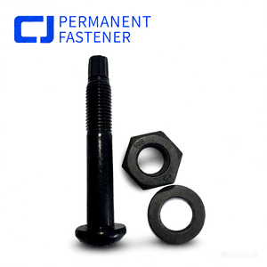 Hoge sterkte Tc bout M20 gelegeerd staal ronde kop graad 10.9 torsie-shear met zwarte oxide afwerking en ringen/moeren voor de bouw - Product Image 3