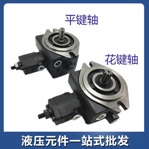 ปั๊มลูกสูบ VPVC-F12/F15/F20/F30/F40-A3/A2/A1-02A ปั๊มน้ำมันแบบใบพัดปรับได้ พร้อมแรงดันไฮดรอลิกสูง ปั๊มแรงดันไฮดรอลิก - Product Image 5