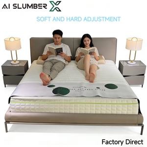 AISLUMBERX Materasso Smart Convertibile Moderno, Regolabile in Durezza, in Memory Foam Ibrido, Ecologico e Durevole per Ospedali, Hotel, Scuole - Product Image 1