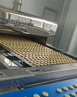 Ligne de production automatique de biscuits 500 kg/h/four tunnel de convoyeur/machine à biscuits