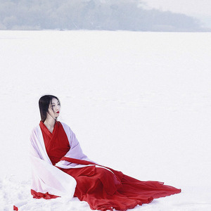 Réplica de Hanfu Estilo Invernal, Camisa de Manga Ancha Roja, Falda Wei Jin, Traje de Actuación, Estilo Antiguo, Fotografía, Talla Adulto - Product Image 3