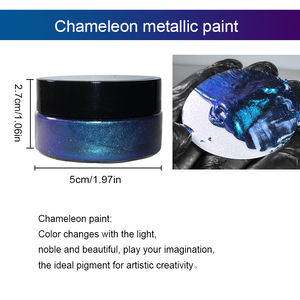 Free Customized Premium Chameleon Metallic Paint Set Private Label Small Package Watercolor <strong>for</strong> <strong>Canvas</strong> <strong>Painting</strong> - Product Image 5