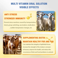 Vitamina AD3E Líquida Oral para Pollos, Estimulante del Crecimiento Rápido y Aumento de Peso, Solución Oral Multivitamínica para Pollos