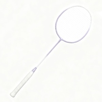 Juego de Raquetas de Fibra de Aleación de Hierro de Gran Resistencia, 2 Piezas, Golpe de un Solo Tiro, Duraderas, para Entrenamiento Profesional y Principiantes