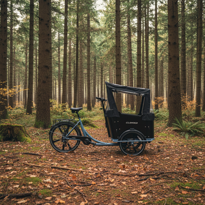 Vélo <span class=keywords><strong>cargo</strong></span> familial néerlandais à 3 roues, moteur arrière 250W, cadre en acier, batterie lithium électrique 36V 15Ah, capacité de charge 150kg, porte-bagages arrière - Product Image 3