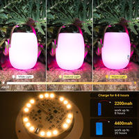 Speaker Lamp Portabel Tahan Air 5.3 untuk Hotel, Camping Outdoor - Sistem Suara LED RGB Nirkabel dengan Remote Kontrol USB