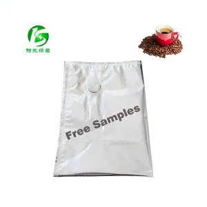 China Supplier Manufacture Eco-friendly Liquid Coffee Bag 30L Beverage Bag in Box