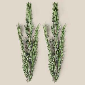 <span class=keywords><strong>Hierbas</strong></span> Secas Naturales Premium Chinas de Romero en Tiras, Hojas de Romero Secas al por Mayor - Product Image 3