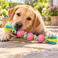Jouets pour chiens en corde tressée résistante, jouets à mâcher durables avec TPR pour un jeu interactif quotidien
