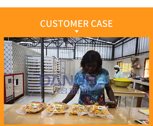Máquina de Secado de Frutas para Negocios en Casa, Secadora de Rodajas de Mango, Equipo de Secado de Chips de Mango, Secadora de Kiwi, Fresa y Albaricoque - Product Image 4