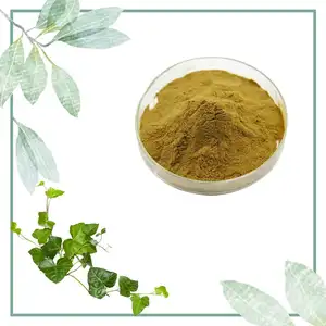 Top Kwaliteit Ivy Leaf Extract Poeder 1%-10%