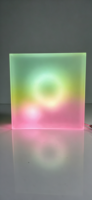 Boîte à lumière LED RGB personnalisée OEM, sculpture lumineuse 3D pour magasin de détail, restaurant, hôtel, intérieur