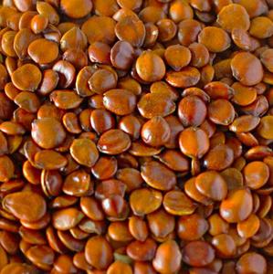 بذور التمر الشوكي المجففة الأصلية (سوان زاو رين) - Product Image 5