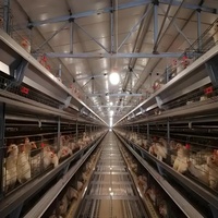 Estructura de Acero Prefabricada de Bajo Costo, Gallinero Comercial Completo, Nave Avícola para la Cría de Pollos
