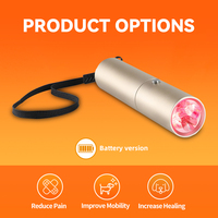 Lumière LED infrarouge proche rouge pour animaux, thérapie de soulagement de la douleur 660nm 850nm avec Type C