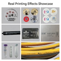 Impresora de Inyección de Tinta UV Piezoeléctrica A700 Directo de Fábrica con Cabezal de Impresión Seiko 510/1020 para Impresión de Alta Resolución de Códigos de Barras, Códigos QR y Logotipos