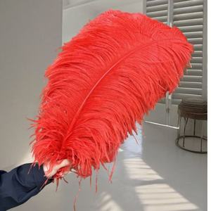 Vente en gros 24-26 pouces Grandes plumes d'autruche blanches Festival de carnaval 60-65cm Décoration de mariage 15-80cm Teint Fluffy Parties d'autruche - Product Image 2