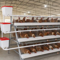 Cage à poules galvanisée de type A à 3 niveaux, capacité 96 oiseaux, accessoires complets, équipement d'élevage avicole, nouvelle capacité élevée, fabriqué en Chine