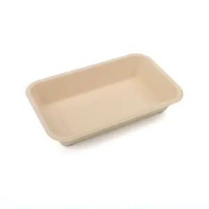 frozen food trays export Wholesale Eco-Friendly Disposable Biodegradable Bamboo Rectangle Sushi Takeaway Tableware