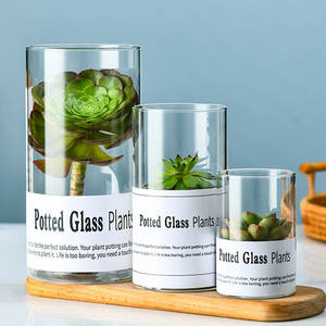 <span class=keywords><strong>Transparent</strong></span> Simple Cylindre Grand Clair <span class=keywords><strong>Fleur</strong></span> Vase <span class=keywords><strong>En</strong></span> <span class=keywords><strong>Verre</strong></span> Grand Grand Vase <span class=keywords><strong>En</strong></span> <span class=keywords><strong>Verre</strong></span> Clair Pour Le Mariage - Product Image 4