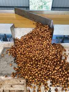 <span class=keywords><strong>Secadora</strong></span> Industrial <span class=keywords><strong>de</strong></span> <span class=keywords><strong>Bomba</strong></span> <span class=keywords><strong>de</strong></span> <span class=keywords><strong>Calor</strong></span> <span class=keywords><strong>de</strong></span> Secado Rápido, Deshidratador <span class=keywords><strong>de</strong></span> Aire Caliente para Nueces, Cacahuates, Anacardos, Granos <span class=keywords><strong>de</strong></span> Café, Máquina <span class=keywords><strong>de</strong></span> Secado <span class=keywords><strong>de</strong></span> Snacks <span class=keywords><strong>de</strong></span> Frutos Secos 100-1800kg - Product Image 3