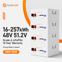 Paket Baterai Lithium LiFePO4 16kwh yang Dapat Ditumpuk dan Dipasang di Rak, 48V 51.2V 314Ah dengan BMS Cerdas untuk Sistem Penyimpanan Energi Surya Rumah Tangga