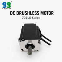 Motor Brushless GOLDGUN 48V 250W 3000RPM dengan Pengontrol Driver untuk Penggunaan Konveyor Sabuk/Roller Kecil, OEM/ODM Custom