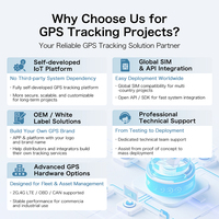Sistema de Rastreo GPS Personalizado para Vehículos, Plataforma de Software de Rastreo GPS, Sistema de Seguimiento GPS