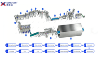 Ligne de production de frites entièrement automatique Sensitar 1500KG/H pour les usines de transformation alimentaire à grande échelle
