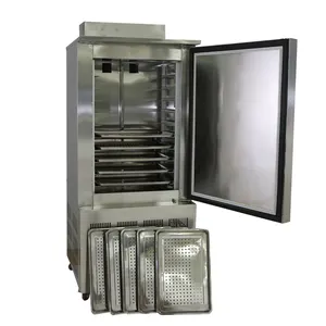 10 pans quick freezing mini deep freezer small IQF machine for meat seafood bakery