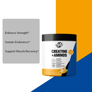 Poudre de créatine + acides aminés OEM/ODM à succès pour le sport, soutien musculaire, endurance et récupération pour les femmes et les hommes - Product Image 3