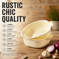 Cesta interna para lavar frutas y verduras, material sin BPA, fácil de limpiar, para almacenamiento de frutas