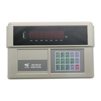 Báscula industrial Mountscale OIML XK3190 A9 para camiones/tragabultos/suelos/ferrocarriles con pantalla LCD, alta precisión y 1 año de garantía