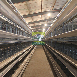 Servicio Profesional de Diseño de Granjas Avícolas - Planos Personalizados de Construcción de Gallineros, Diseño de Equipamiento y Soluciones de Ventilación - Product Image 3