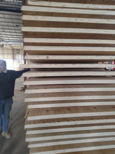 Núcleo de pino Contrachapado Construcción Muebles Embalaje Pino Bintangor <span class=keywords><strong>Okumen</strong></span> Álamo - Product Image 2