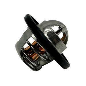 8200772985 Thermostat pour <span class=keywords><strong>Renault</strong></span> Clio <span class=keywords><strong>Scenic</strong></span> Kangoo <span class=keywords><strong>Megane</strong></span> Laguna 1.4 1.6 16V - Product Image 1