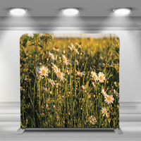 Support de toile de fond 8x8 en tissu tendu pour cadre tubulaire, idéal pour les anniversaires, les photobooths et les bannières