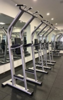 Machine professionnelle à charge par disques pour dips, tractions, soulevés de jambe, exercices pectoraux et bras, en acier robuste, pour entraînement de force sécurisé