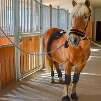 Kinreen 660nm 850nm पहनने योग्य पशु लाल प्रकाश चिकित्सा wrapred प्रकाश घोड़ों के लिए दर्द से राहत