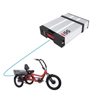 2023 nouvelle batterie de Tricycle Shanshan 2 Sse-198 Tricycle électrique Tricycle avec batterie au Lithium-Ion 48V