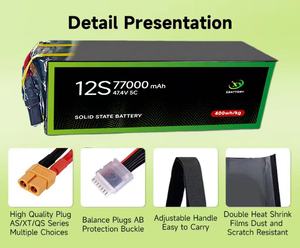 Твердотельный литий-ионный аккумулятор для 77000mAh 6S 12S, 400 Вт/кг - Product Image 6