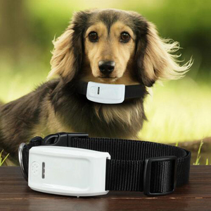 Localizador GPS <span class=keywords><strong>TKSTAR</strong></span> Impermeable <span class=keywords><strong>TK909</strong></span> para Mascotas, Rastreador GPS para Perros, Collar con Rastreador Inalámbrico, Mini Localizador GPS - Product Image 4