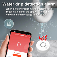 Détecteur de fuite d'eau intelligent WiFi Tuya, alarme, surveillance à distance via l'application, son et lumière d'alerte à haut niveau sonore, installation facile, système d'alarme