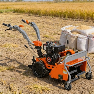 Trituratore d'erba commerciale/industriale automatico <span class=keywords><strong>da</strong></span> 8HP 178F con avviamento elettrico, lama <span class=keywords><strong>da</strong></span> 60cm e alta produttività per <span class=keywords><strong>giardino</strong></span> - Product Image 1